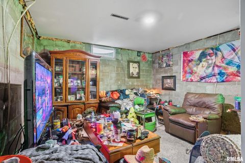 Tiny photo for 8039 HAZEL Road, Morrison, IL 61270 (MLS # 12548540)