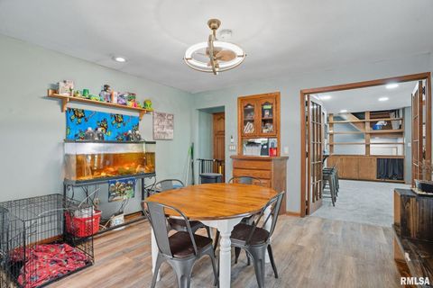 Tiny photo for 8039 HAZEL Road, Morrison, IL 61270 (MLS # 12548540)