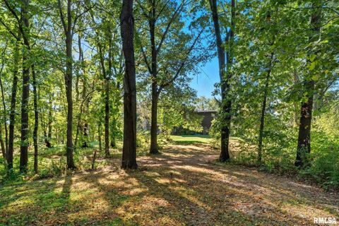 Tiny photo for 8039 HAZEL Road, Morrison, IL 61270 (MLS # 12548540)