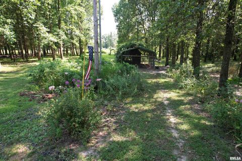 Tiny photo for 4331 Radio Tower Road, Salem, IL 62881 (MLS # EB459291)