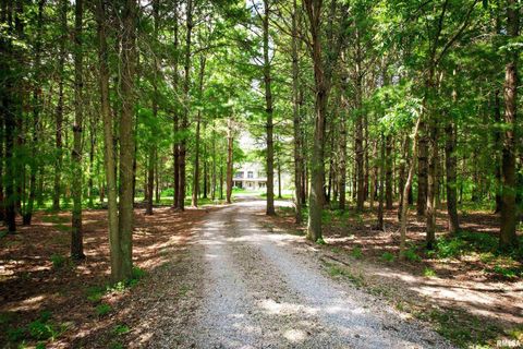 Tiny photo for 4331 Radio Tower Road, Salem, IL 62881 (MLS # EB459291)