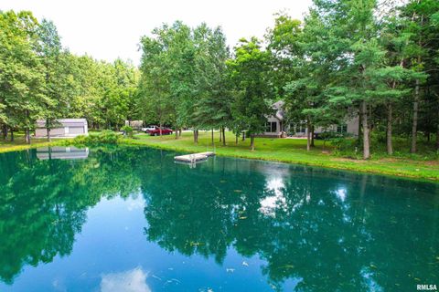 Tiny photo for 4331 Radio Tower Road, Salem, IL 62881 (MLS # EB459291)