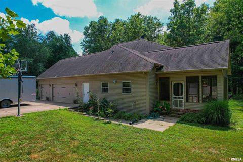 Tiny photo for 4331 Radio Tower Road, Salem, IL 62881 (MLS # EB459291)