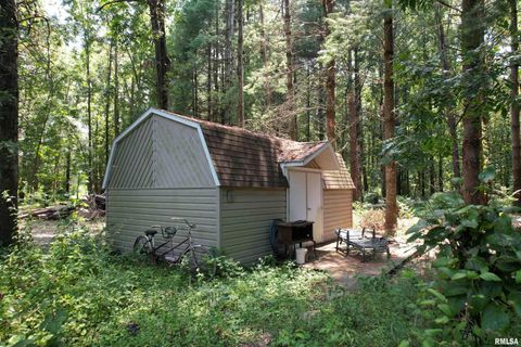 Tiny photo for 4331 Radio Tower Road, Salem, IL 62881 (MLS # EB459291)