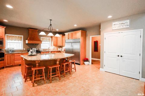 Tiny photo for 4331 Radio Tower Road, Salem, IL 62881 (MLS # EB459291)