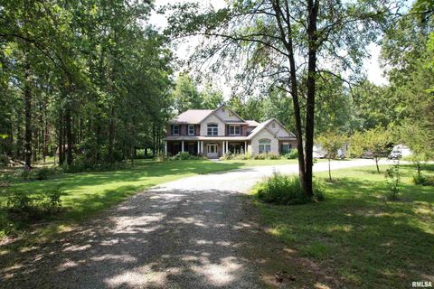 Tiny photo for 4331 Radio Tower Road, Salem, IL 62881 (MLS # EB459291)