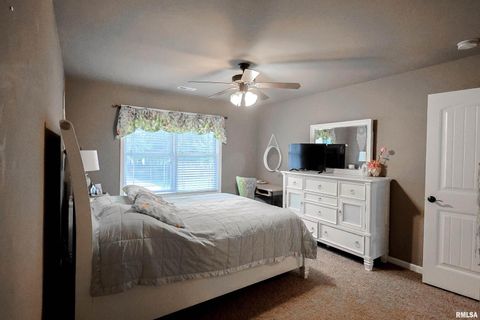 Tiny photo for 4331 Radio Tower Road, Salem, IL 62881 (MLS # EB459291)