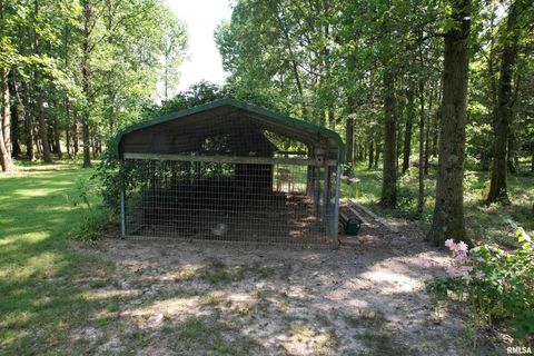 Tiny photo for 4331 Radio Tower Road, Salem, IL 62881 (MLS # EB459291)