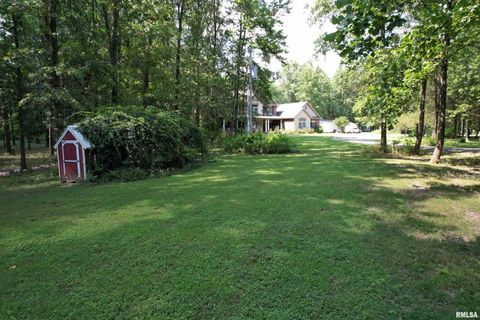 Tiny photo for 4331 Radio Tower Road, Salem, IL 62881 (MLS # EB459291)