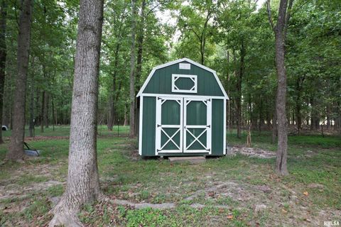 Tiny photo for 4331 Radio Tower Road, Salem, IL 62881 (MLS # EB459291)