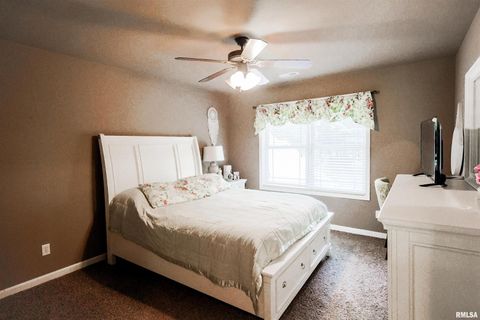 Tiny photo for 4331 Radio Tower Road, Salem, IL 62881 (MLS # EB459291)