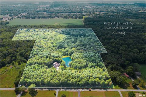 Tiny photo for 4331 Radio Tower Road, Salem, IL 62881 (MLS # EB459291)