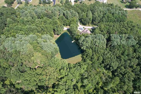 Tiny photo for 4331 Radio Tower Road, Salem, IL 62881 (MLS # EB459291)