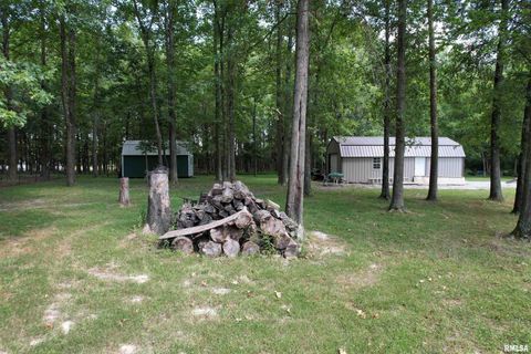 Tiny photo for 4331 Radio Tower Road, Salem, IL 62881 (MLS # EB459291)