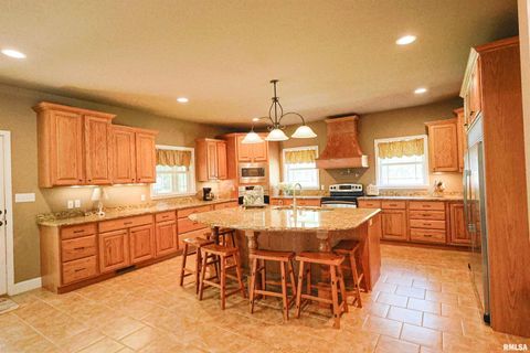 Tiny photo for 4331 Radio Tower Road, Salem, IL 62881 (MLS # EB459291)