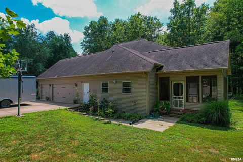 Tiny photo for 4331 Radio Tower Road, Salem, IL 62881 (MLS # EB459291)