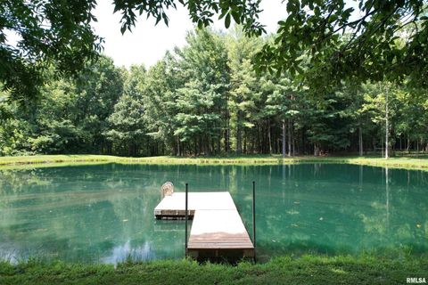 Tiny photo for 4331 Radio Tower Road, Salem, IL 62881 (MLS # EB459291)