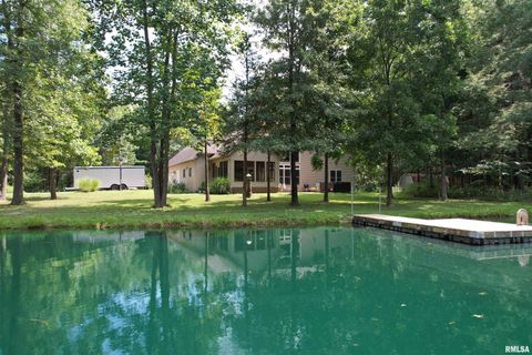 Tiny photo for 4331 Radio Tower Road, Salem, IL 62881 (MLS # EB459291)