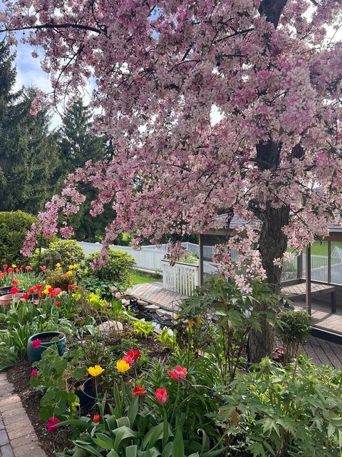 Tiny photo for 220 N Shannon Drive, Woodstock, IL 60098 (MLS # 12601694)