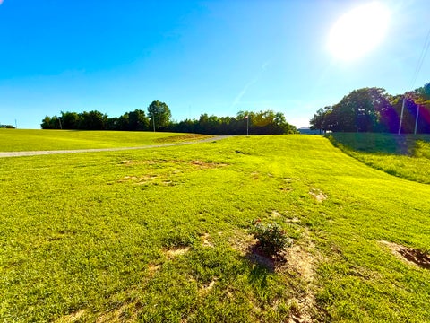 Tiny photo for 3495 Friendship Loop, Goreville, IL 62939 (MLS # 12666604)