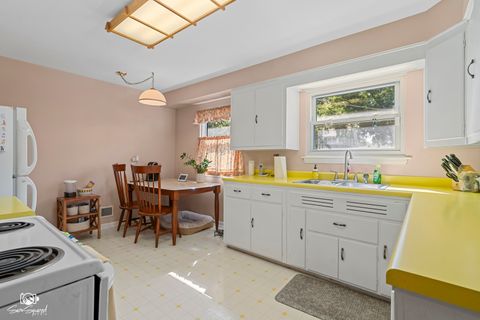Tiny photo for 519 Cowles Avenue, Joliet, IL 60435 (MLS # 12465842)