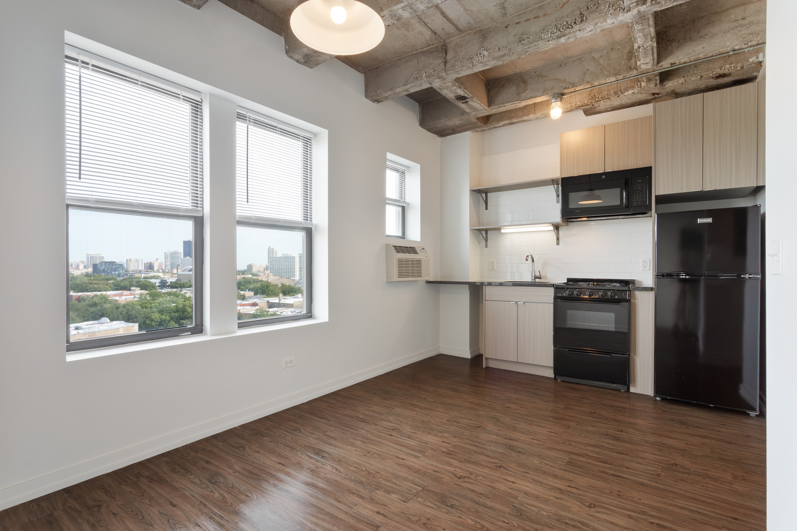 1325 W Wilson Avenue 1006