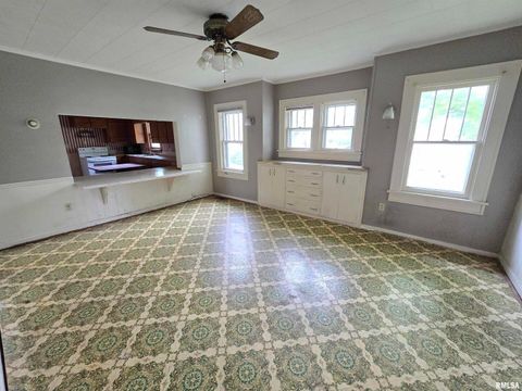 Tiny photo for 1201 E Noleman, Centralia, IL 62801 (MLS # EB458211)