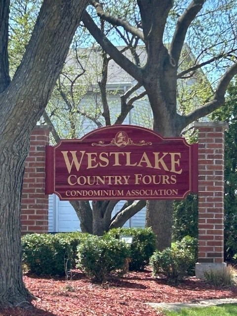 Photo of 185 College Drive #B, Bloomingdale, IL 60108 (MLS # 12616067)