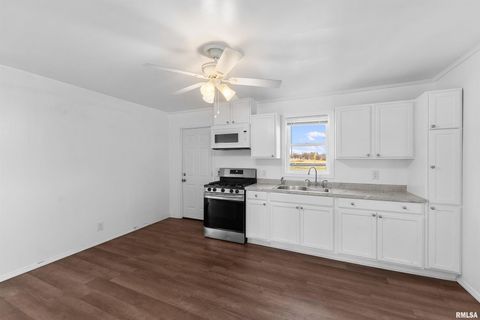 Tiny photo for 3221 66TH Avenue, Moline, IL 61265 (MLS # QC4269680)