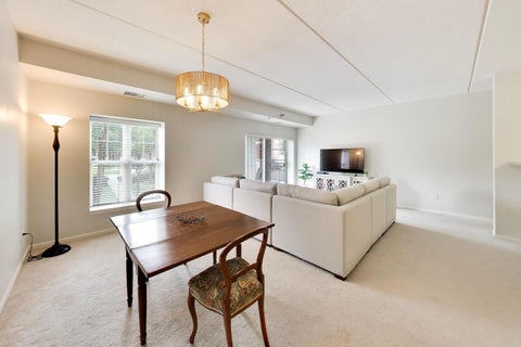 Tiny photo for 410 W Mahogany Court #205, Palatine, IL 60067 (MLS # 12729613)
