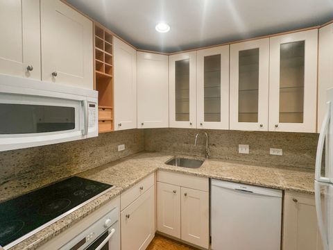 Tiny photo for Chicago, IL 60611 (MLS # 12616798)