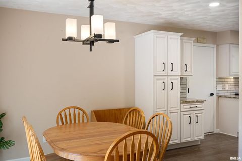 Tiny photo for 12 TIMBER Lane, Geneseo, IL 61254 (MLS # QC4269146)