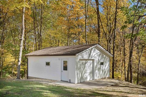 Tiny photo for 12 TIMBER Lane, Geneseo, IL 61254 (MLS # QC4269146)