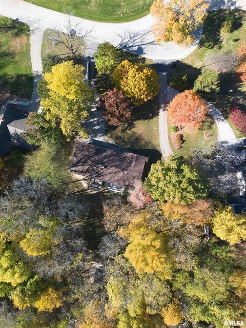 Tiny photo for 12 TIMBER Lane, Geneseo, IL 61254 (MLS # QC4269146)