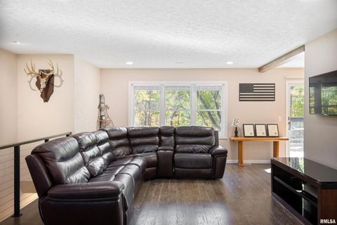 Tiny photo for 12 TIMBER Lane, Geneseo, IL 61254 (MLS # QC4269146)