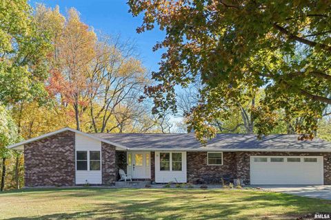 Photo of 12 TIMBER Lane, Geneseo, IL 61254 (MLS # QC4269146)