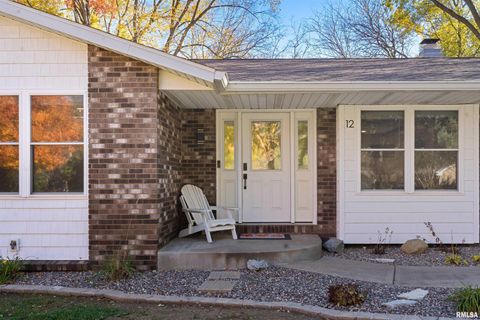 Tiny photo for 12 TIMBER Lane, Geneseo, IL 61254 (MLS # QC4269146)