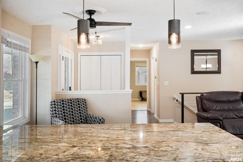 Tiny photo for 12 TIMBER Lane, Geneseo, IL 61254 (MLS # QC4269146)