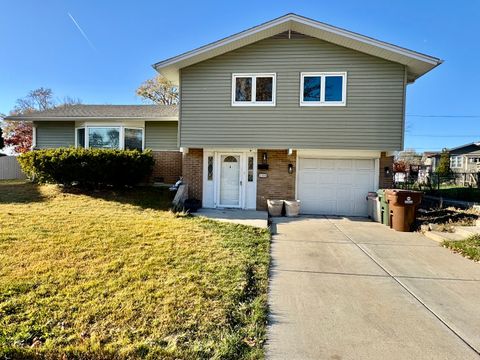 5700 La Palm Drive Oak Forest IL 60452