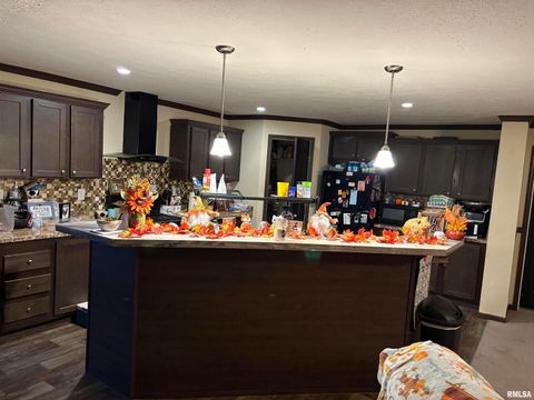 Tiny photo for 6874 White Walnut Road, Pinckneyville, IL 62274 (MLS # EB460645)