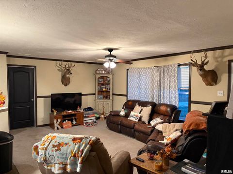 Tiny photo for 6874 White Walnut Road, Pinckneyville, IL 62274 (MLS # EB460645)