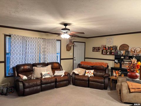 Tiny photo for 6874 White Walnut Road, Pinckneyville, IL 62274 (MLS # EB460645)