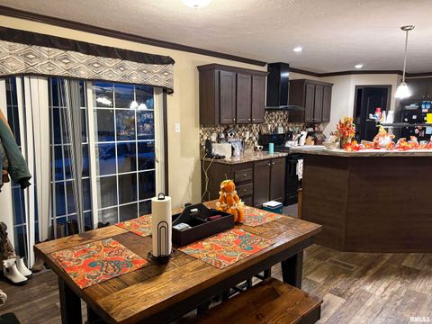 Tiny photo for 6874 White Walnut Road, Pinckneyville, IL 62274 (MLS # EB460645)