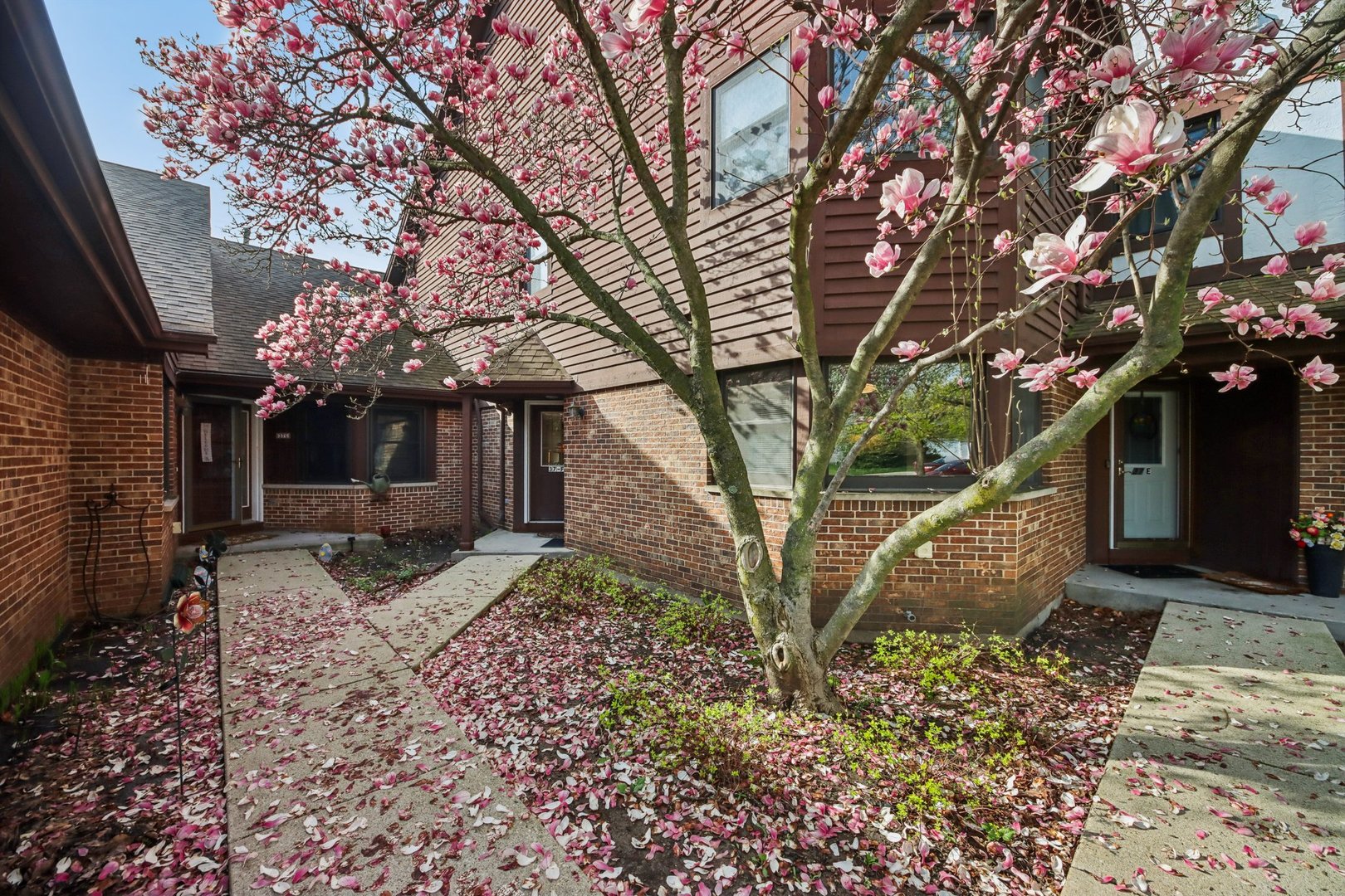 37 Terrace Lane F