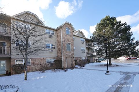 1508 Spring Brook Court 1D Round Lake Beach IL 60073
