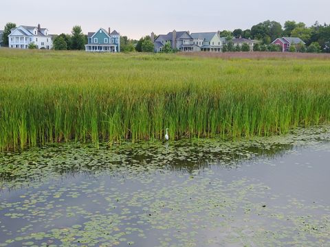 A home in Grayslake