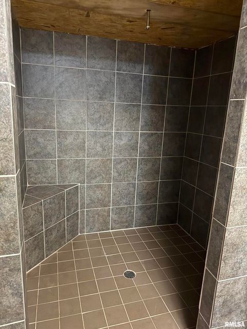 Tiny photo for 808 S VICTOR Street, Christopher, IL 62822 (MLS # QC4268849)