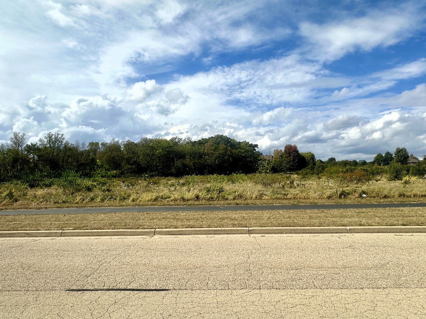 5048 Smokethorn Trail