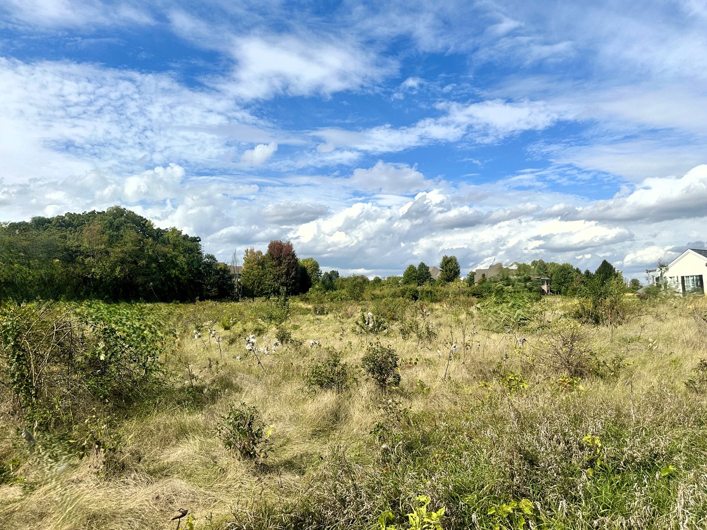 5048 Smokethorn Trail