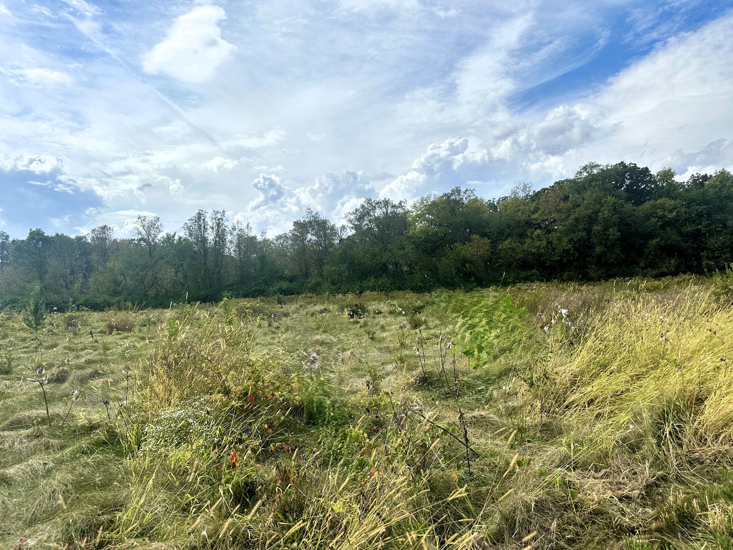 5048 Smokethorn Trail